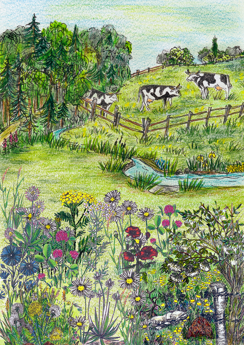 Marienk.%20Bilder_Seiten%2001