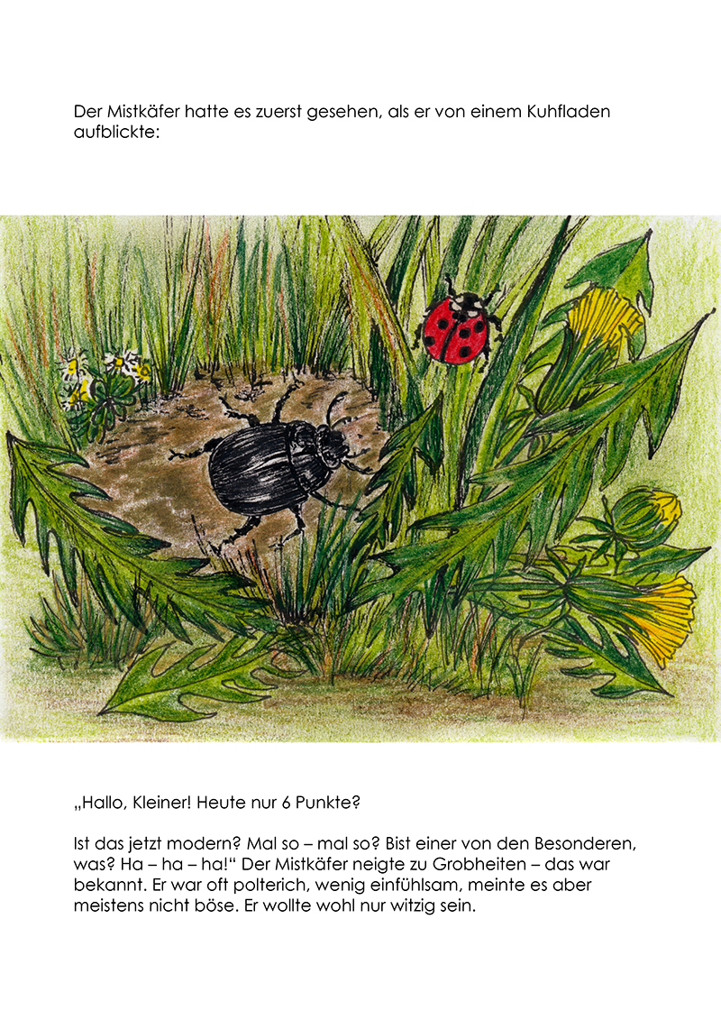 Marienk.%20Bilder_Seiten%2002