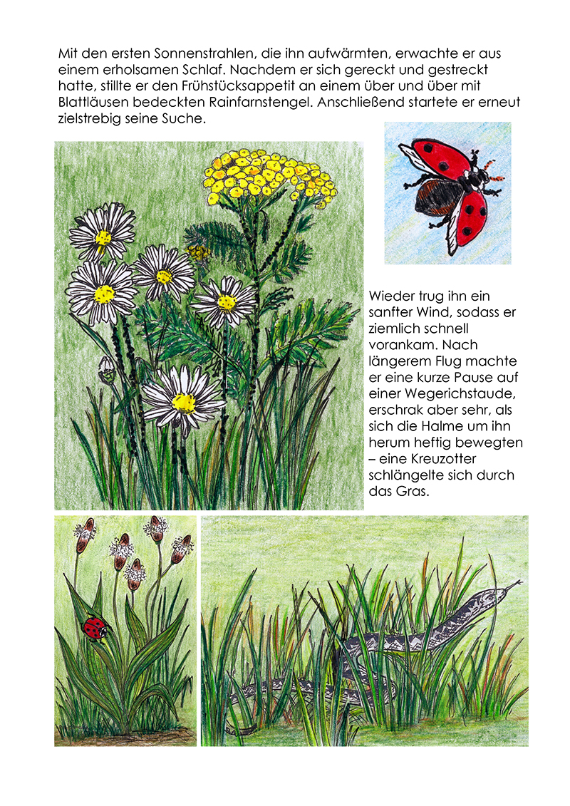 Marienk.%20Bilder_Seiten%2006