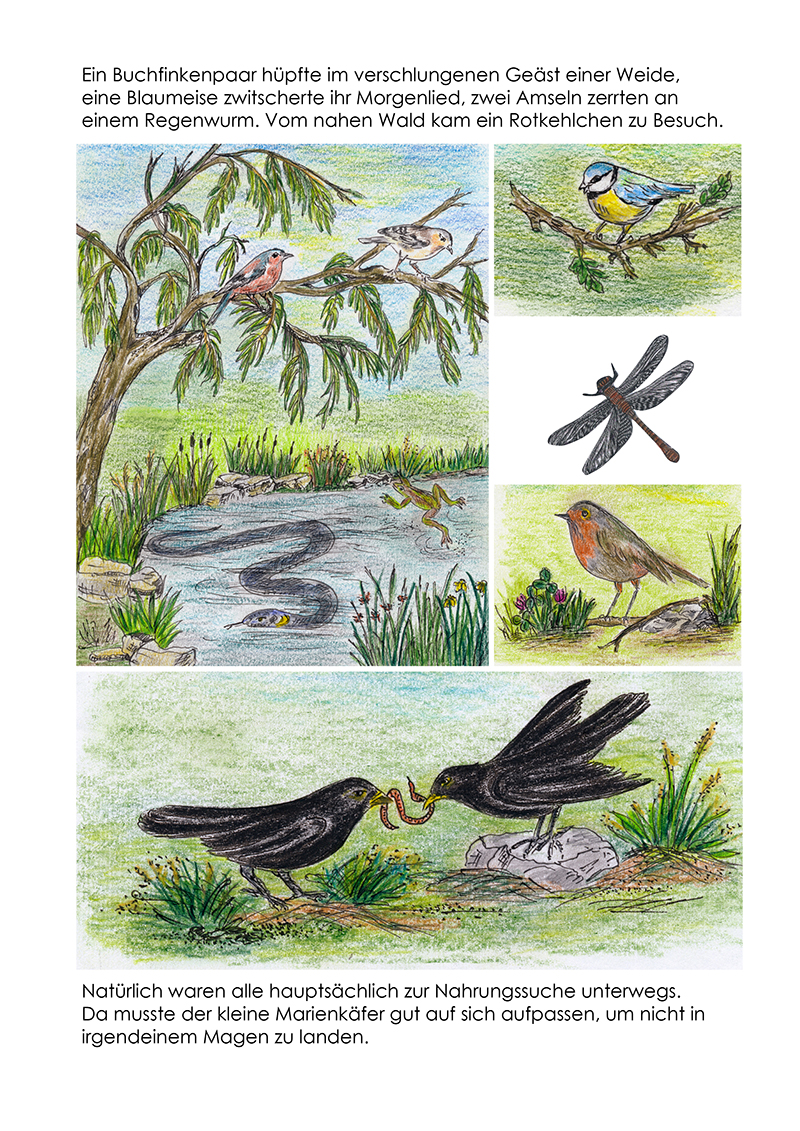 Marienk.%20Bilder_Seiten%2007