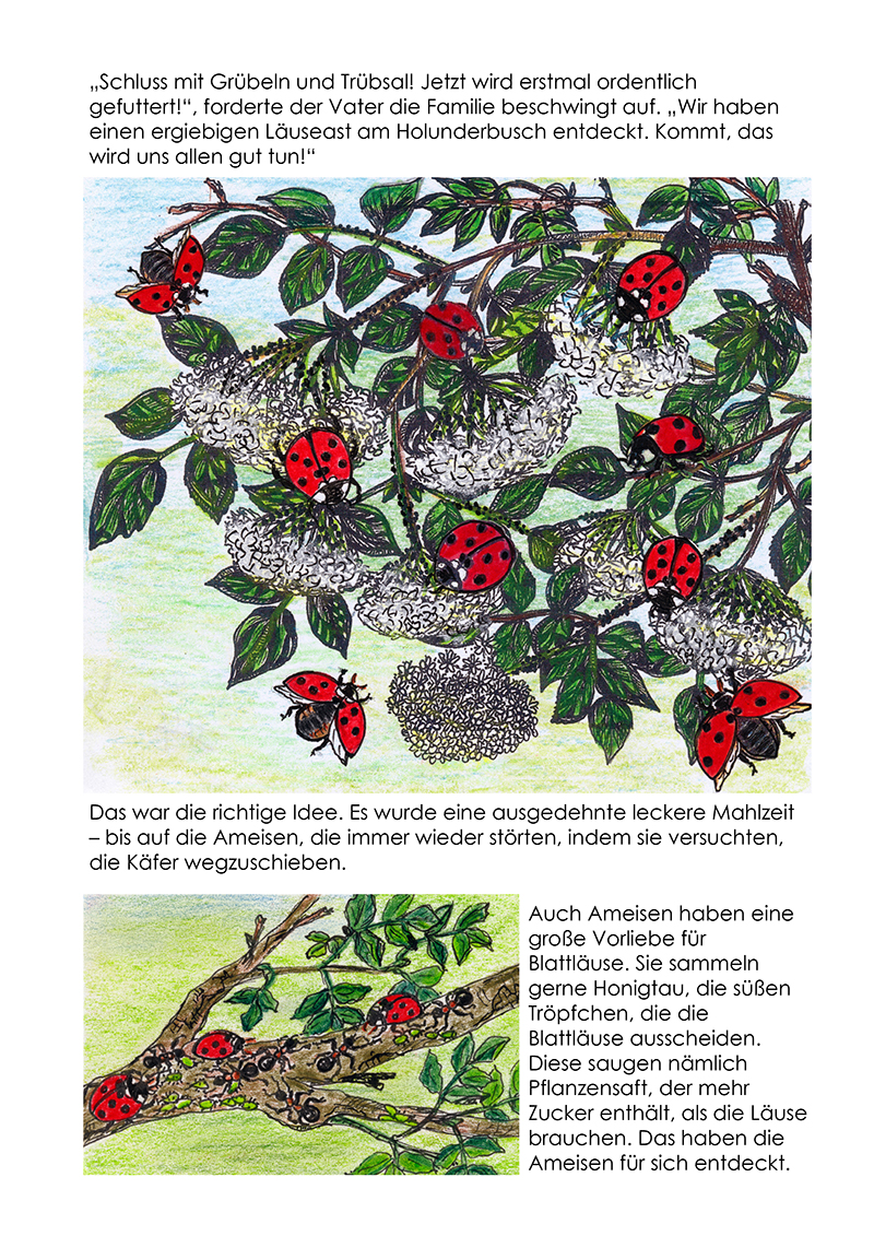 Marienk.%20Bilder_Seiten%2008